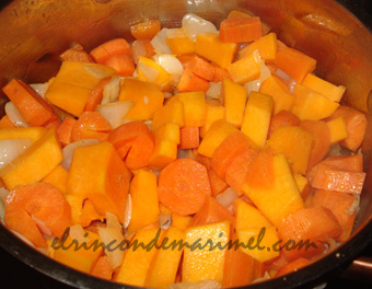 salsa thai de calabaza y zanahoria