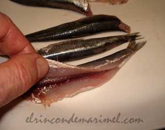 limpiar boquerones