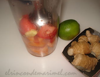 gazpacho de melón cantalupo