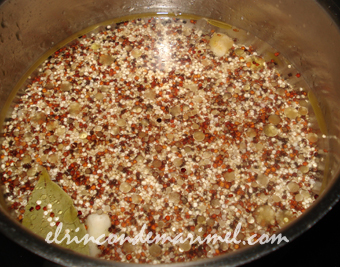 quinoa tricolor